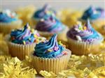 Mini Cupcakes 101                                                                                                               