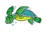 Sea Turtle                                                                                                                      